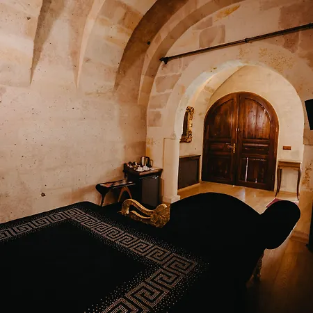 Artium Cave فندق