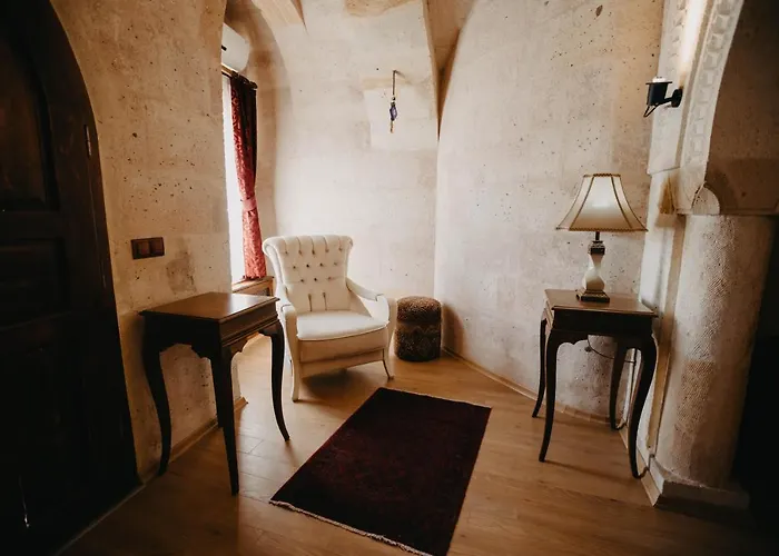 Artium Cave فندق *