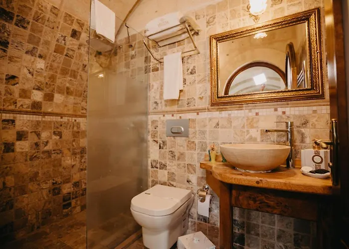 Artium Cave ホテル