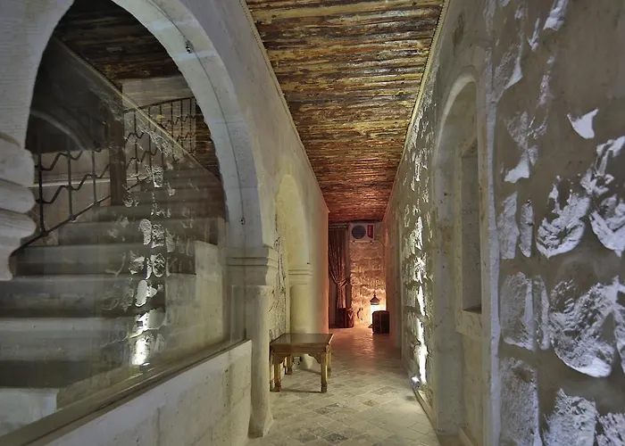 ホテル Artium Cave Mustafapaşa